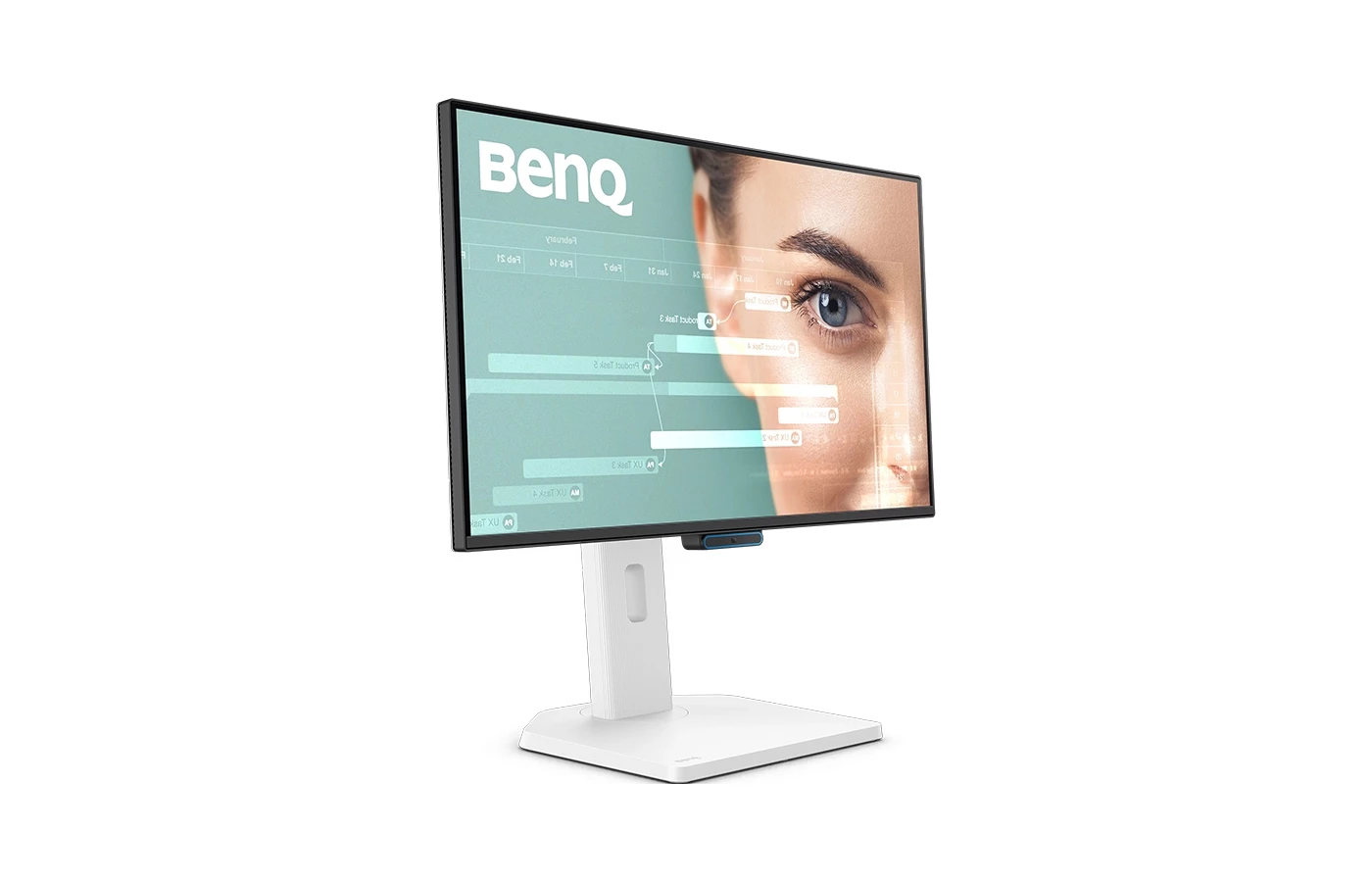 BenQ GW2490TC (24
